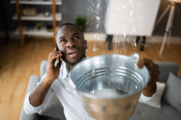  Portageville, MO Water damage restoration Pros
