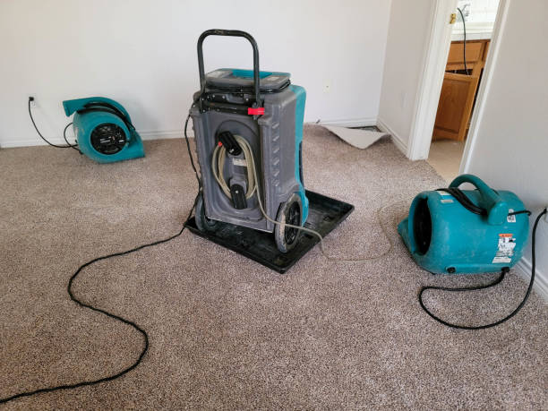 Trusted Portageville, MO Water damage restoration Experts