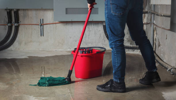  Portageville, MO Water damage restoration Pros