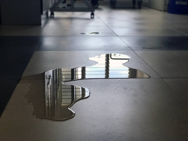 Best Water damage cleanup near me  in Portageville, MO