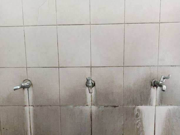 Best Local water damage restoration  in Portageville, MO