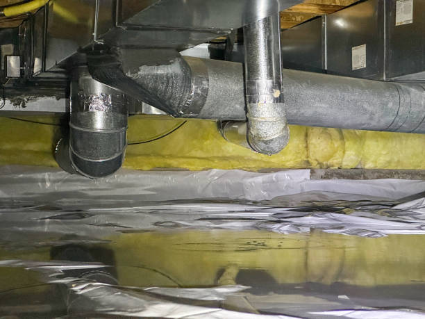 Best Basement water damage restoration  in Portageville, MO
