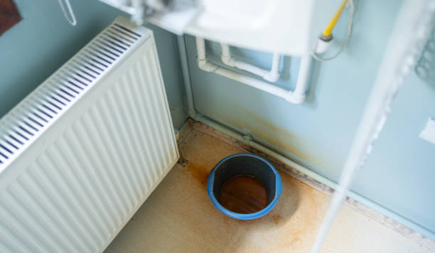 Best Local water damage restoration  in Portageville, MO