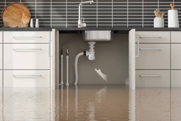 Best Water damage contractors near me  in Portageville, MO