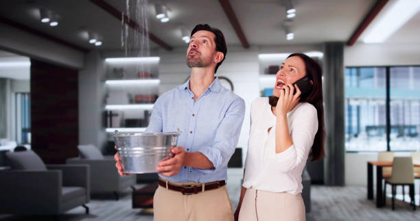 Best Water damage restoration cost  in Portageville, MO